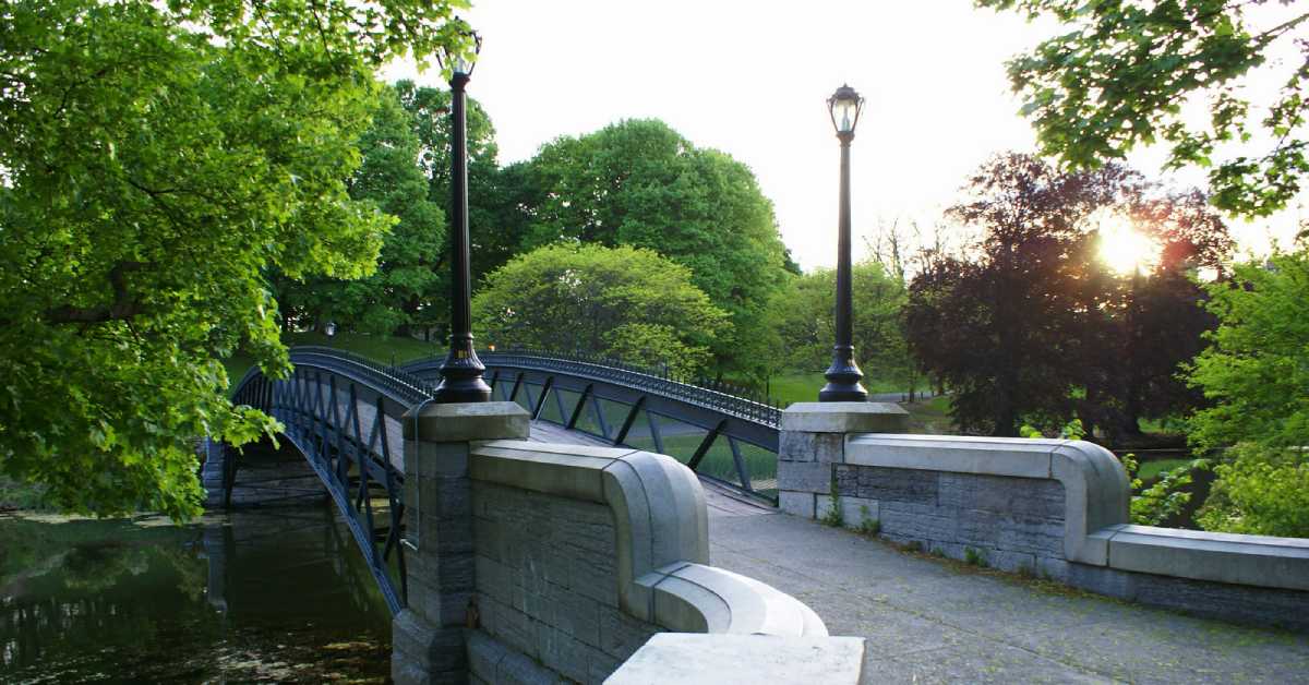 bridge in washington park