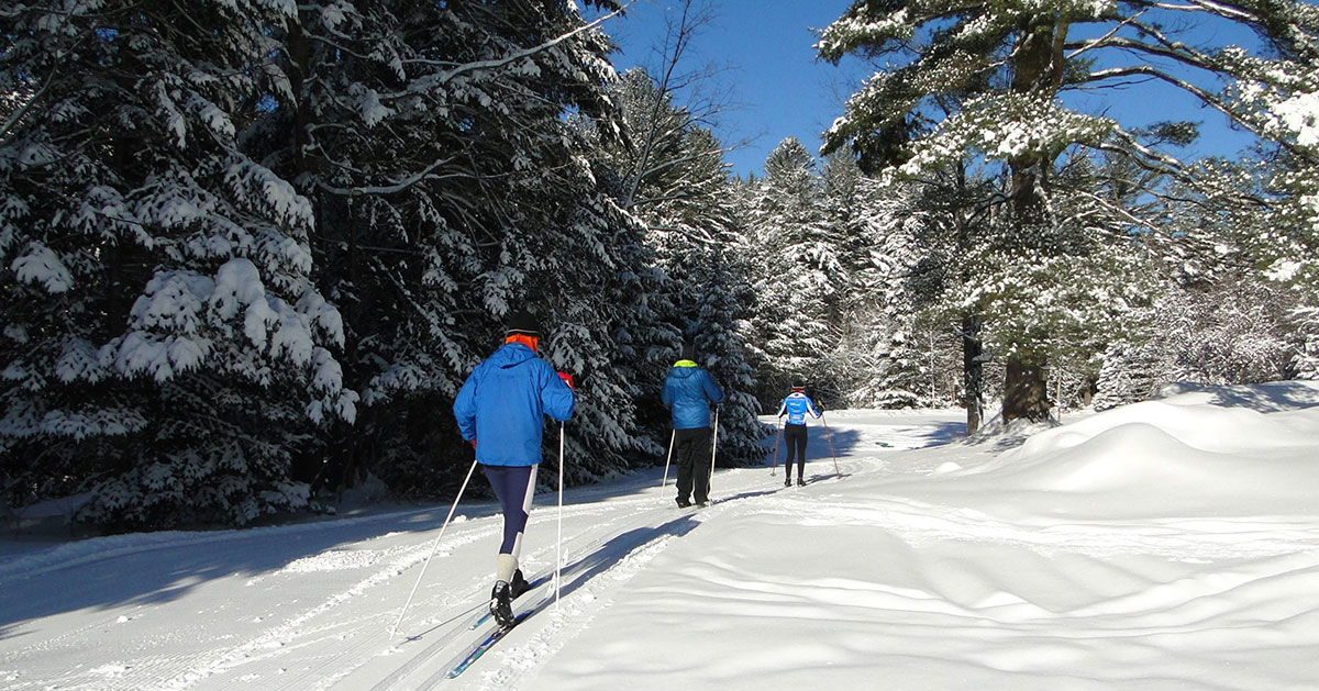three people cross country skiing into the woods