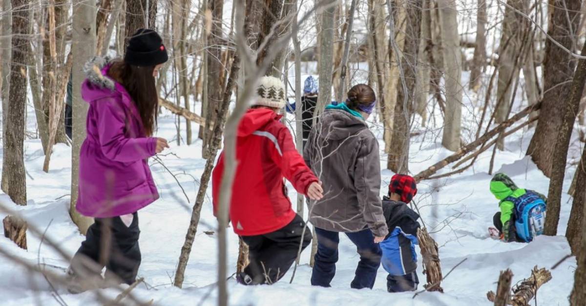 a group of people walking through snowy woods