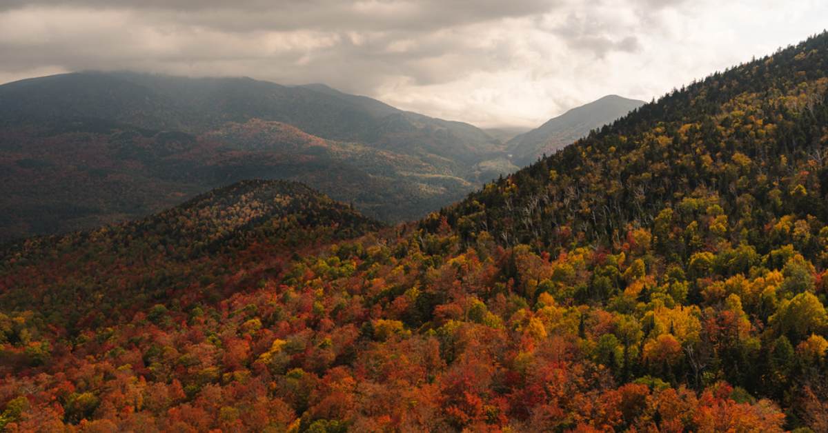 fall view from rooster comb