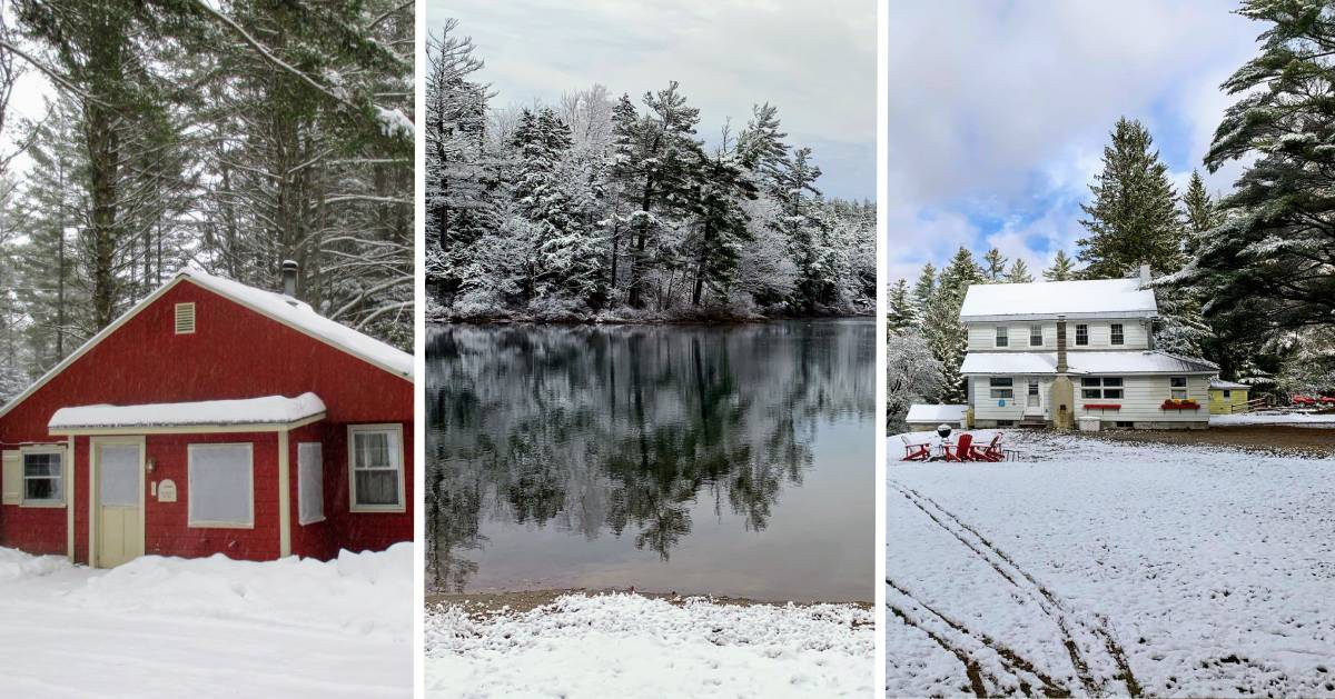 image split in three of winter scenes