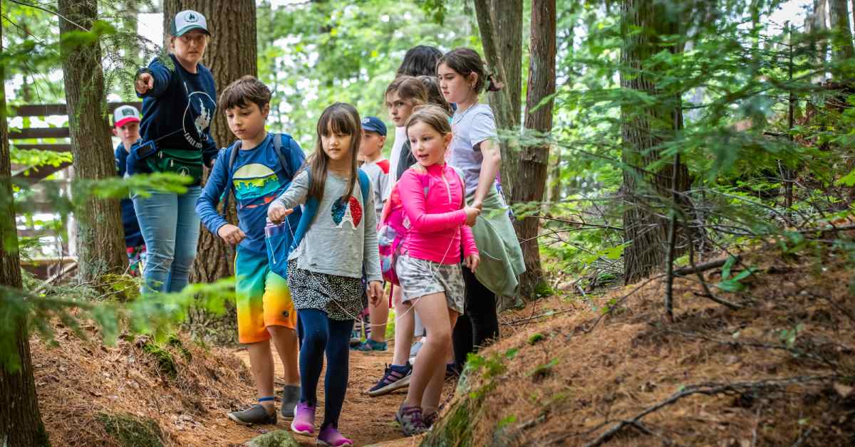 children exploring the woods with a counselor