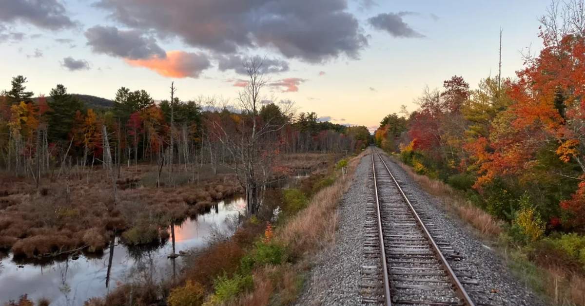 railroad leading past marshes with trees with fall colors