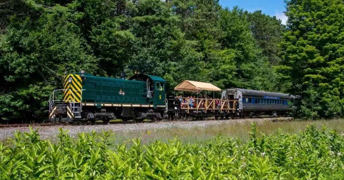 side view of a green train and cars moving along the railroad past woods