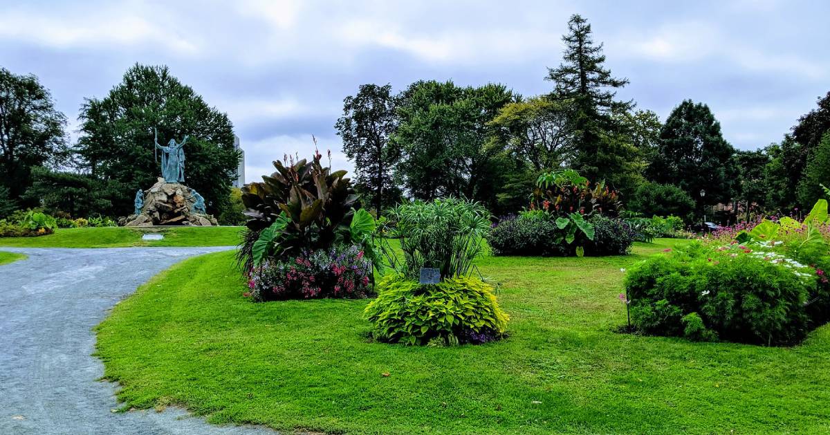 large plants and a monument in the background