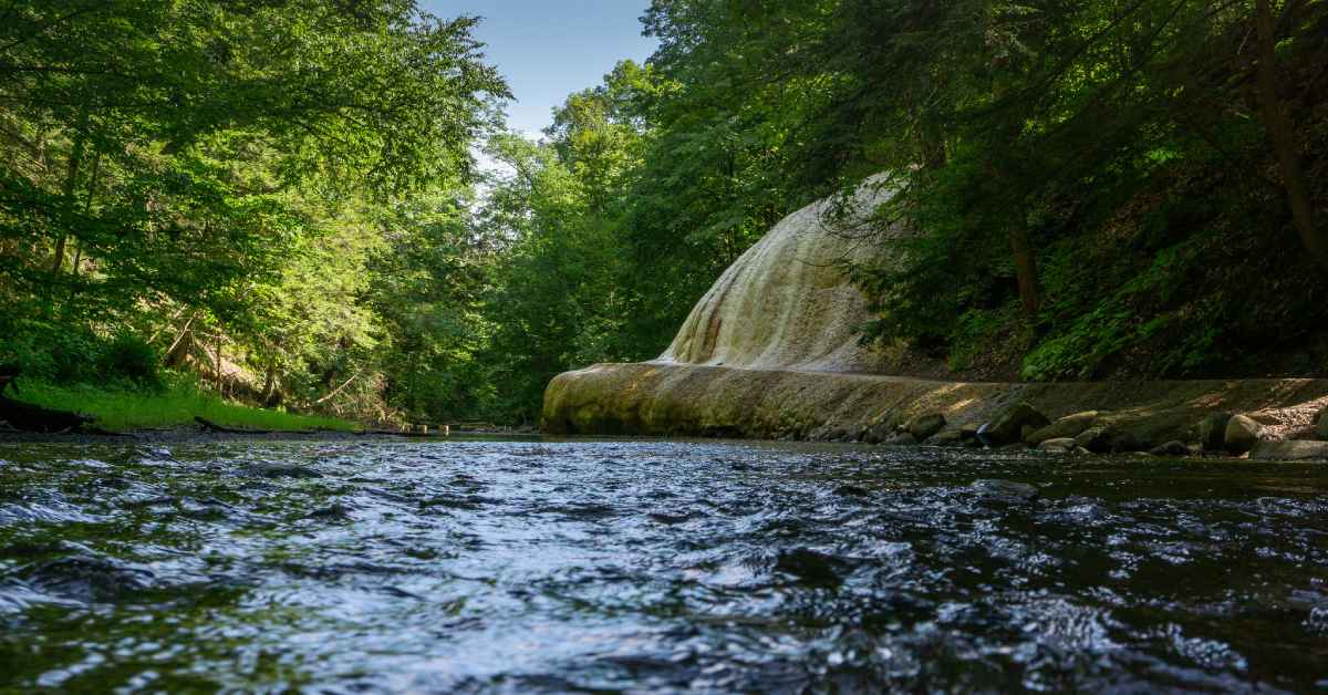 a creek in a park