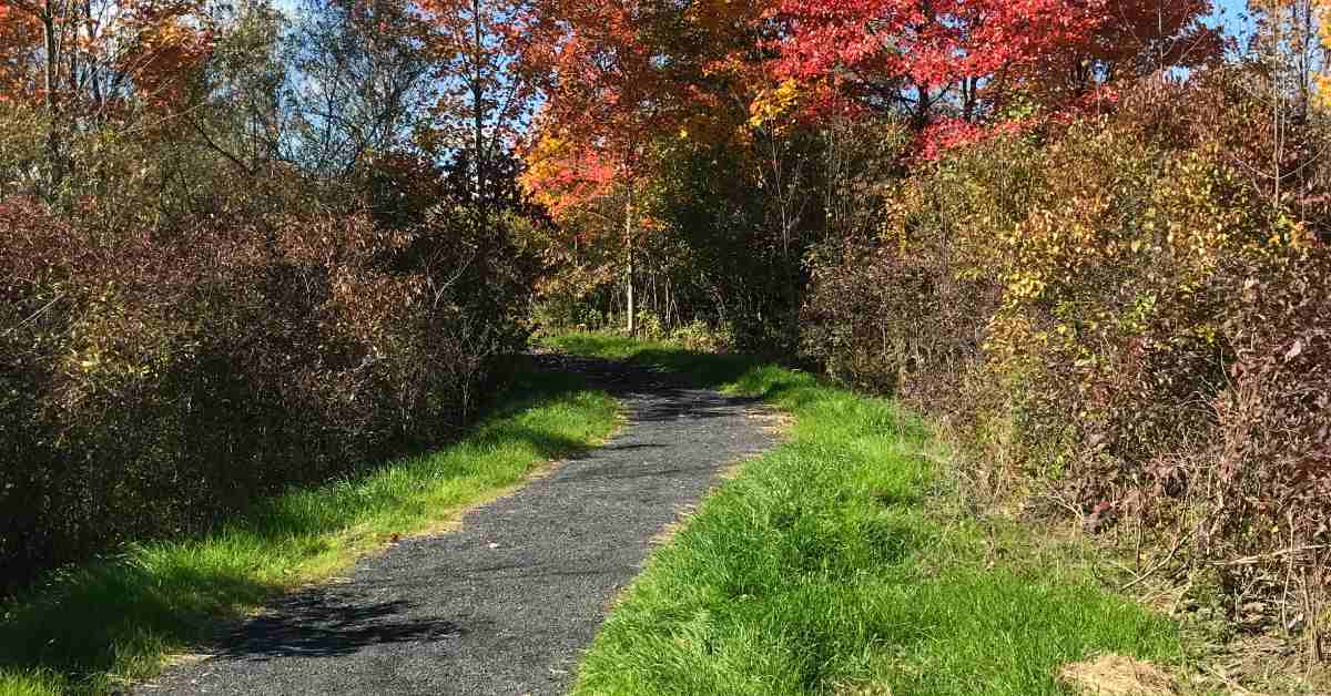 fisher trail at five rivers in autumn