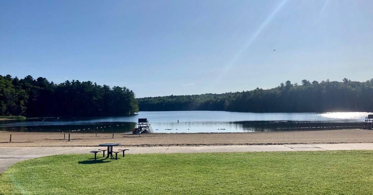 sandy beach in a park on a sunny day