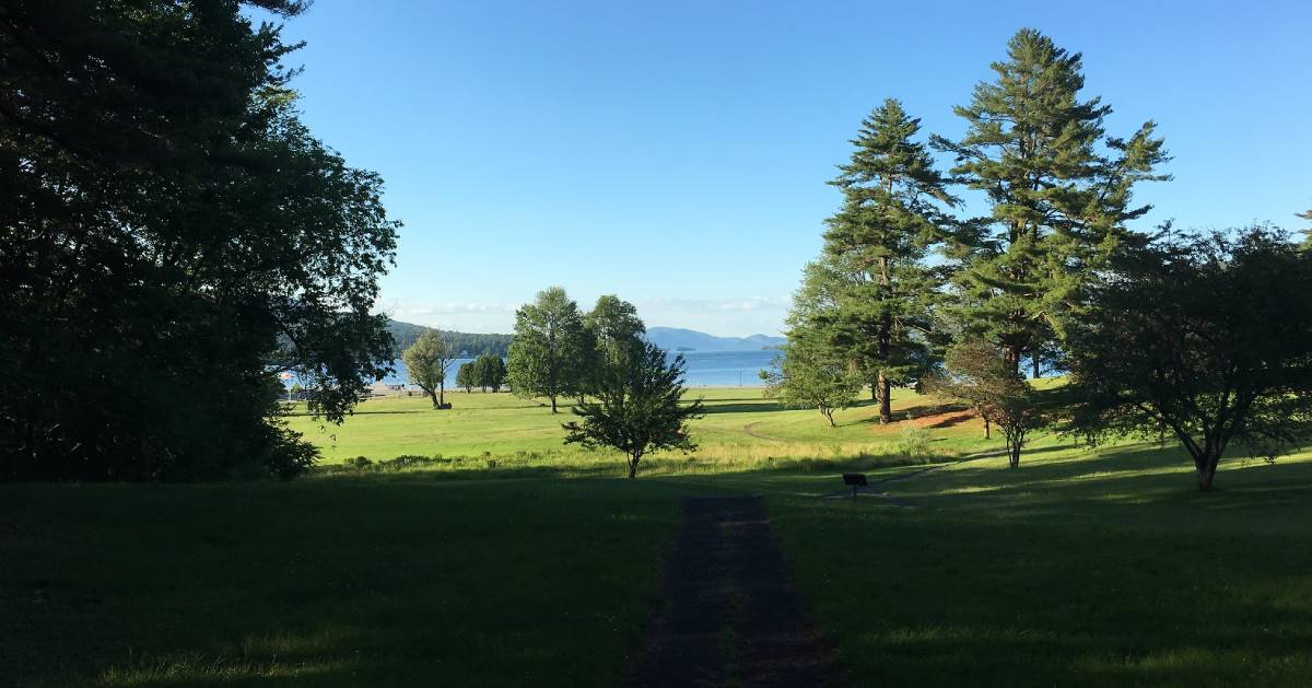 trees in a park with view of lake in the background