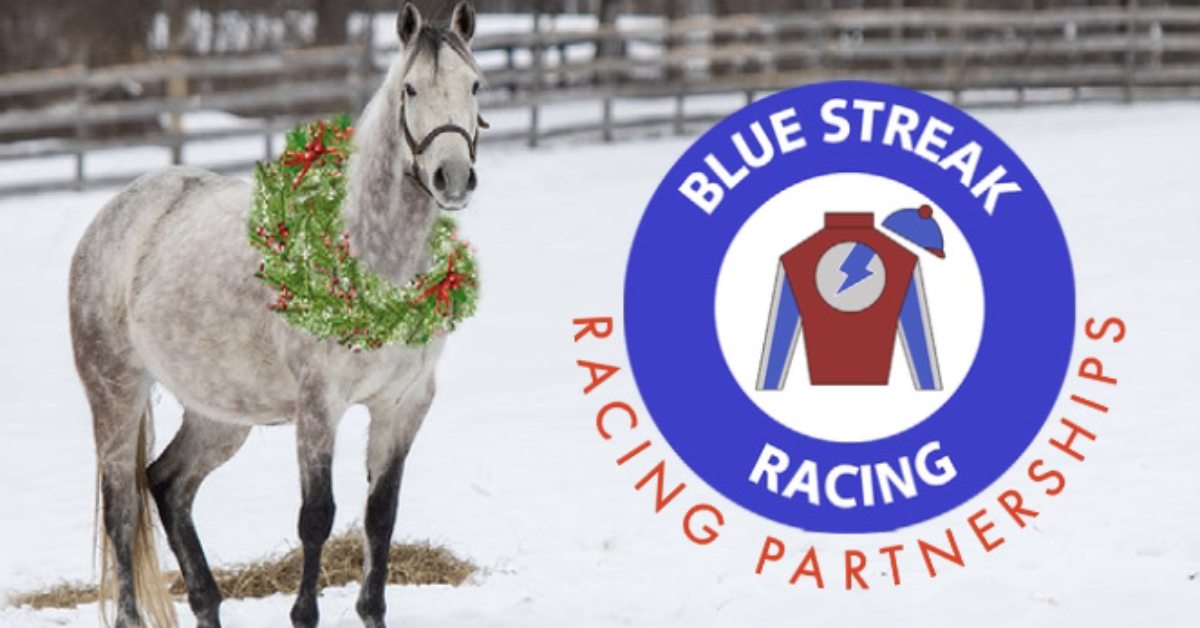 photo of horse wearing wreath and logo for blue streak racing next to it