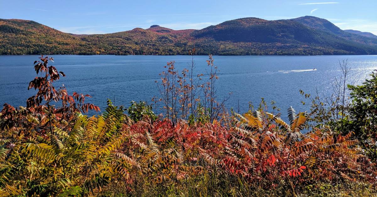 view from a lake overlook in the fall