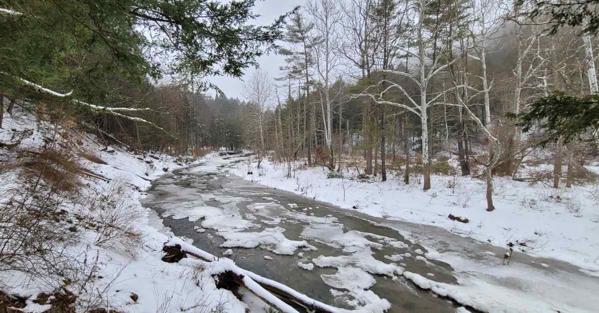 frozen creek photo