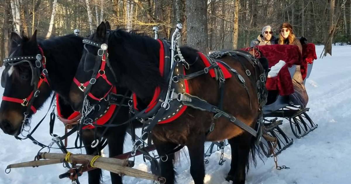 two people on a horse-drawn sleigh in the winter