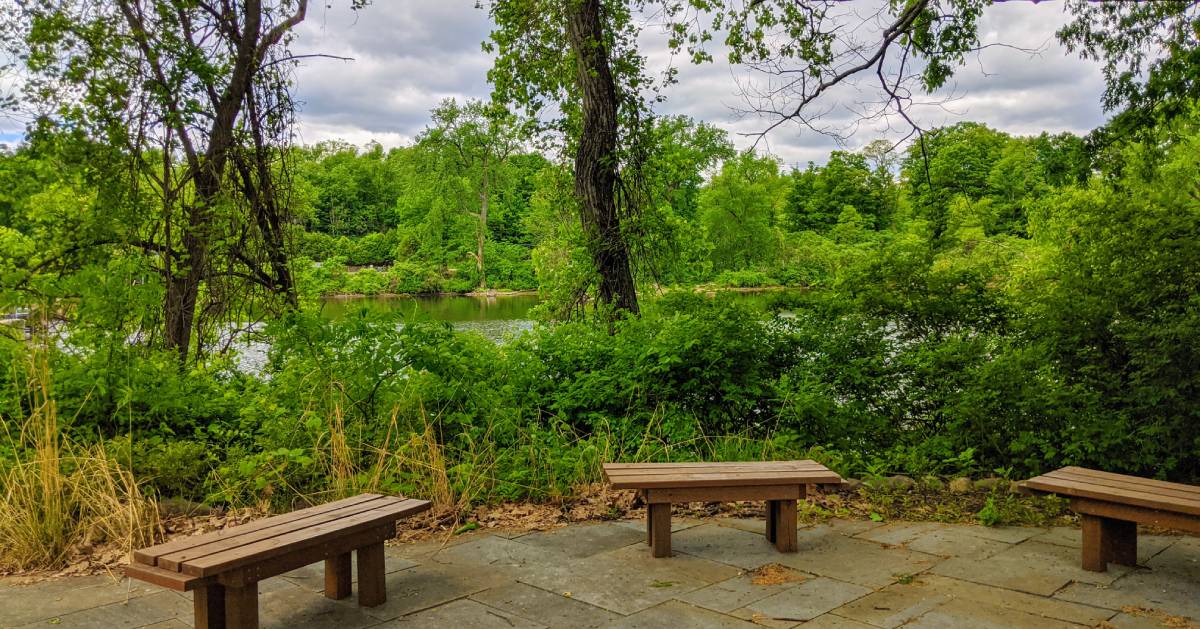 three benches in front of a river view