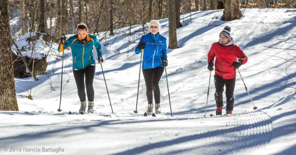 three people cross country skiing