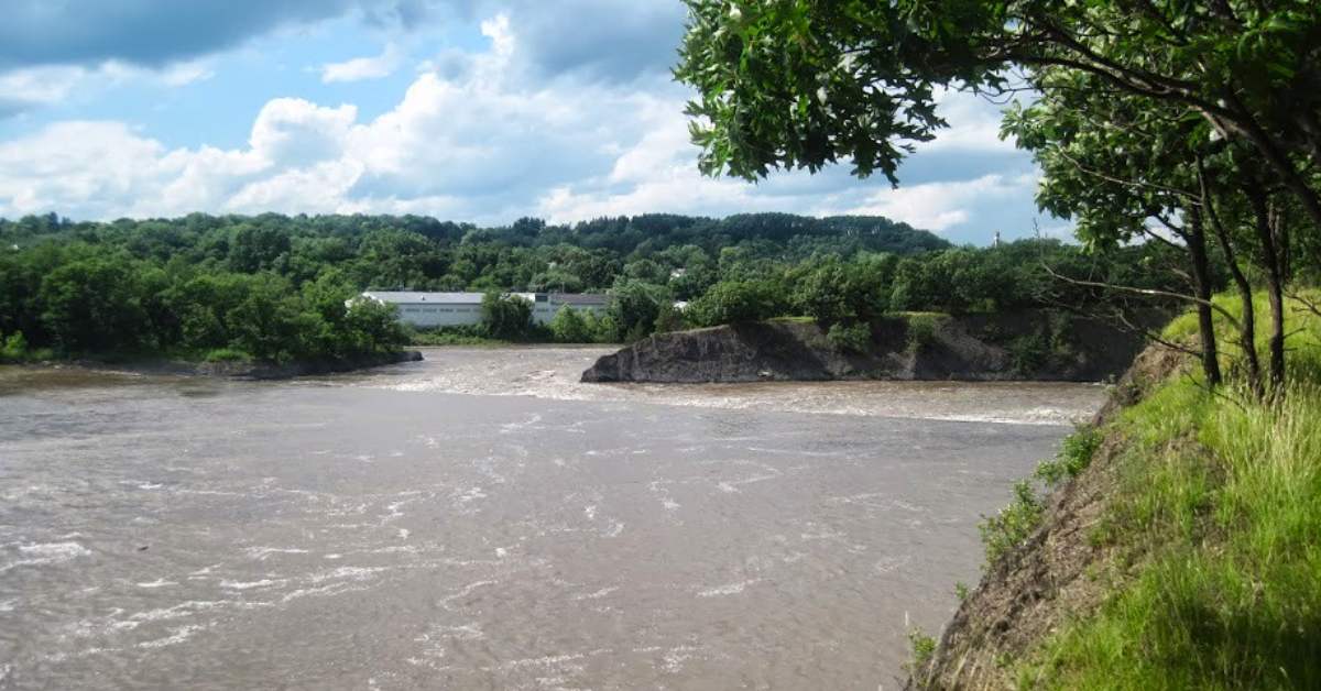 view of a river on a sunny day with blue sky