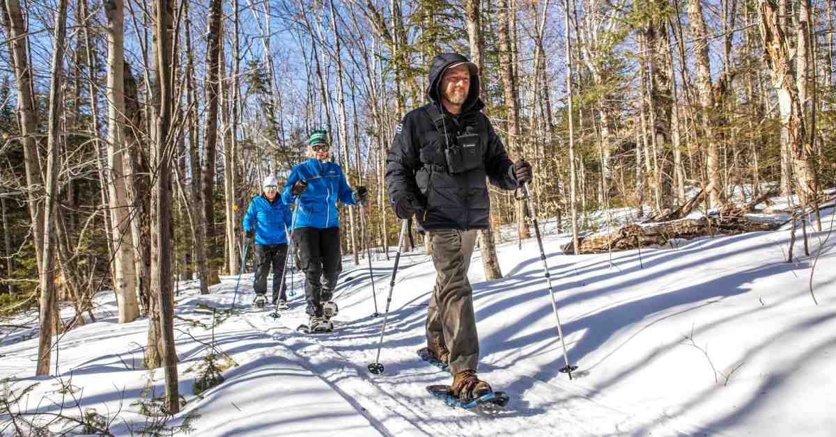 three people snowshoeing through the woods