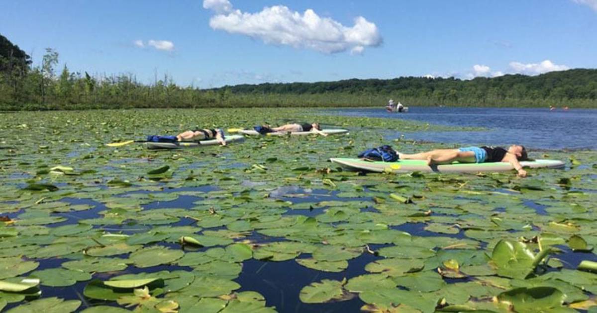 women doing yoga on paddle boards