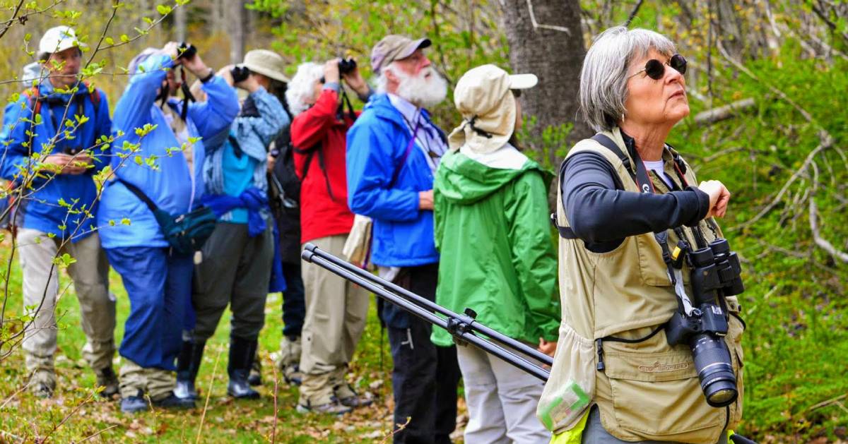 birdwatchers in the woods