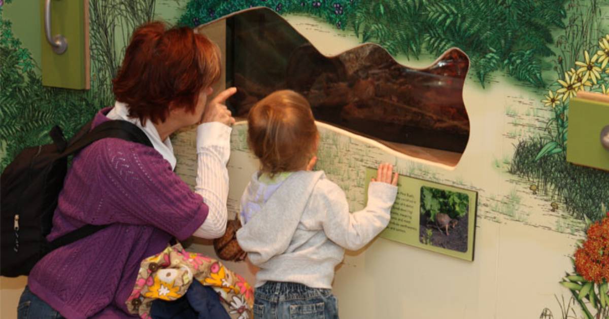 woman and kid looking at museum exhibit