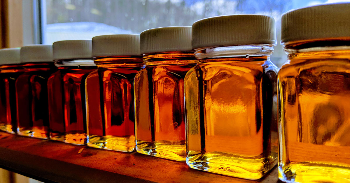 row of maple jars