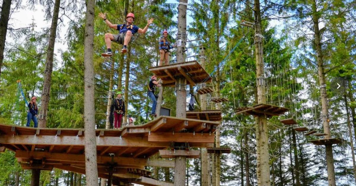 group on treetop course