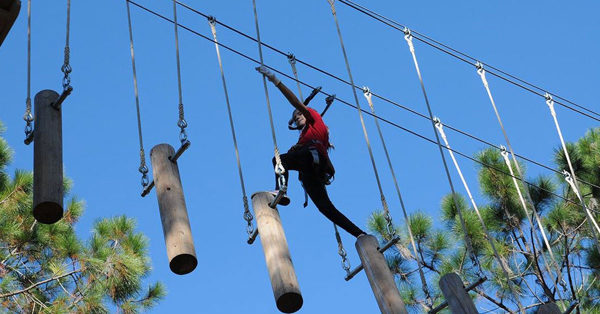 person doing a treetop course