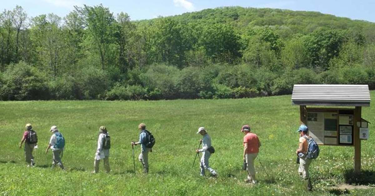 people hiking through field