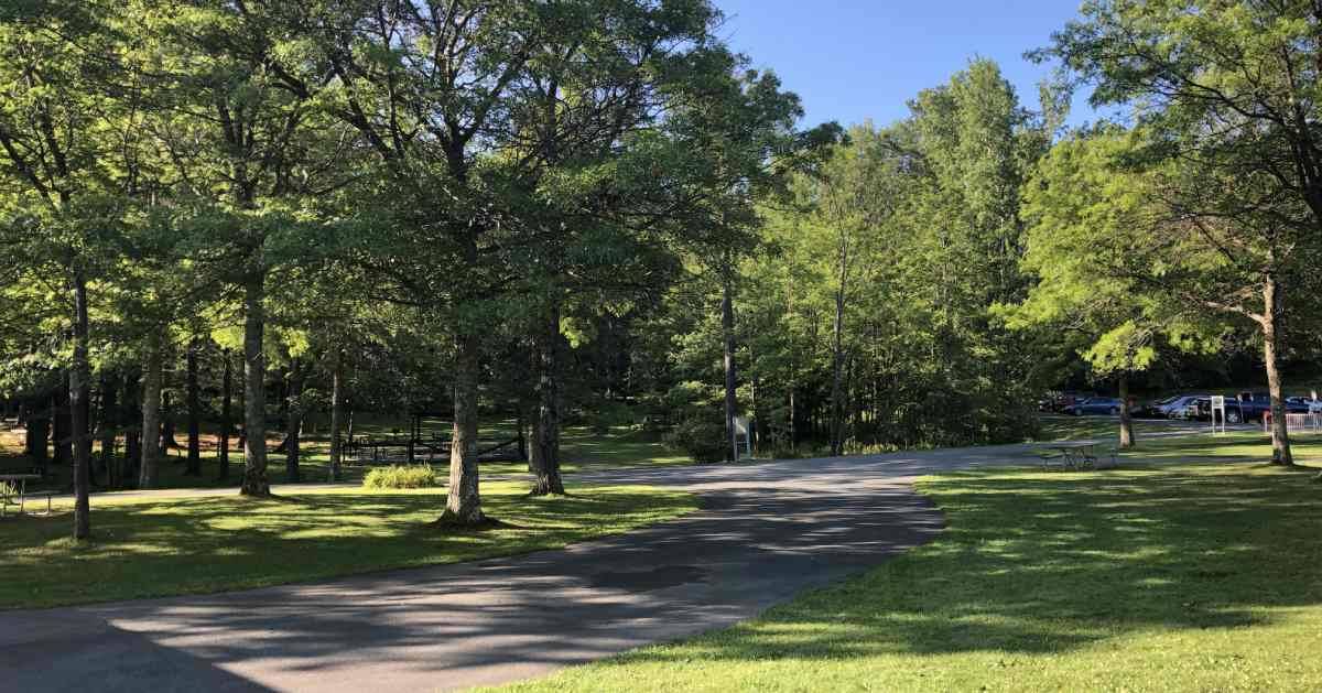 paved trails in a park