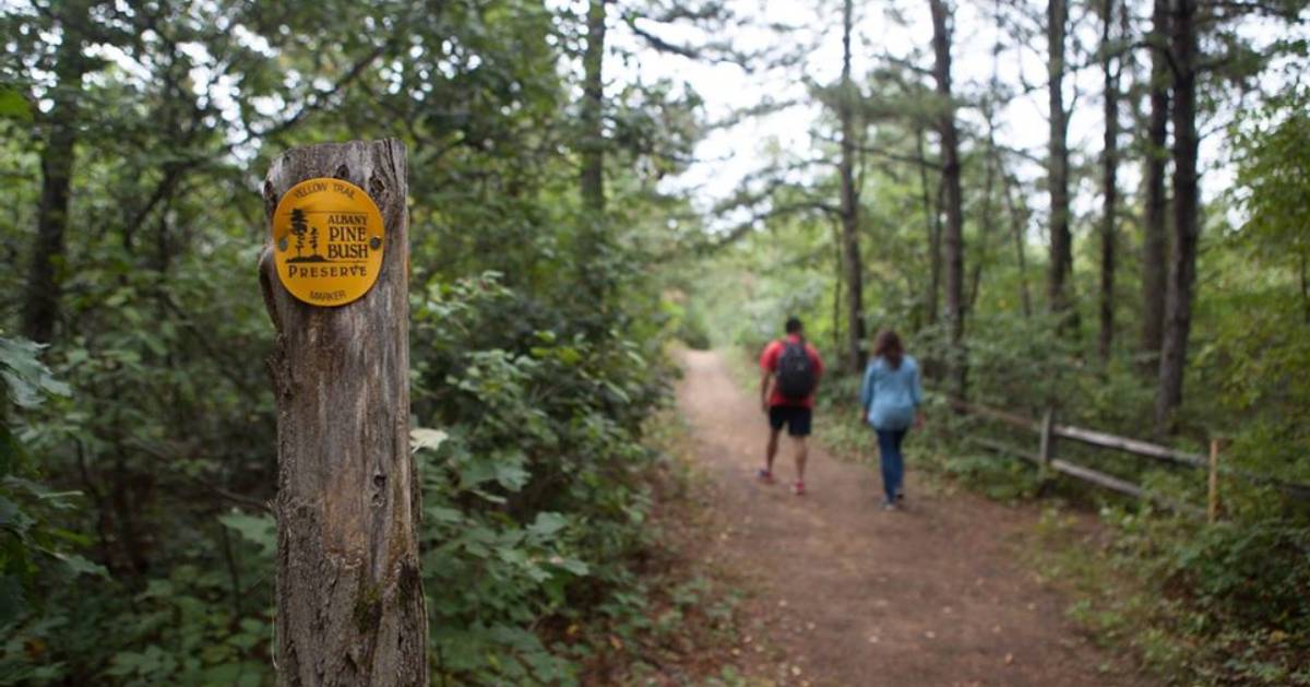 two people hiking in albany pine bush