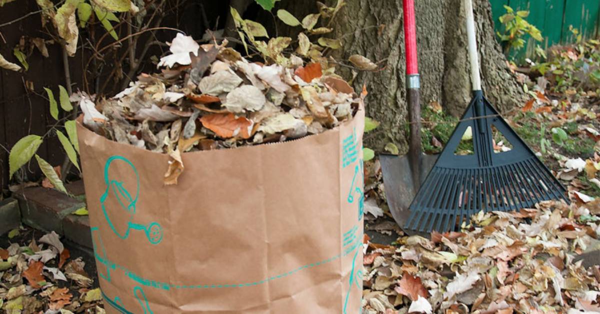 Free Residential Yard Waste Pickup Program in Clifton Park, NY