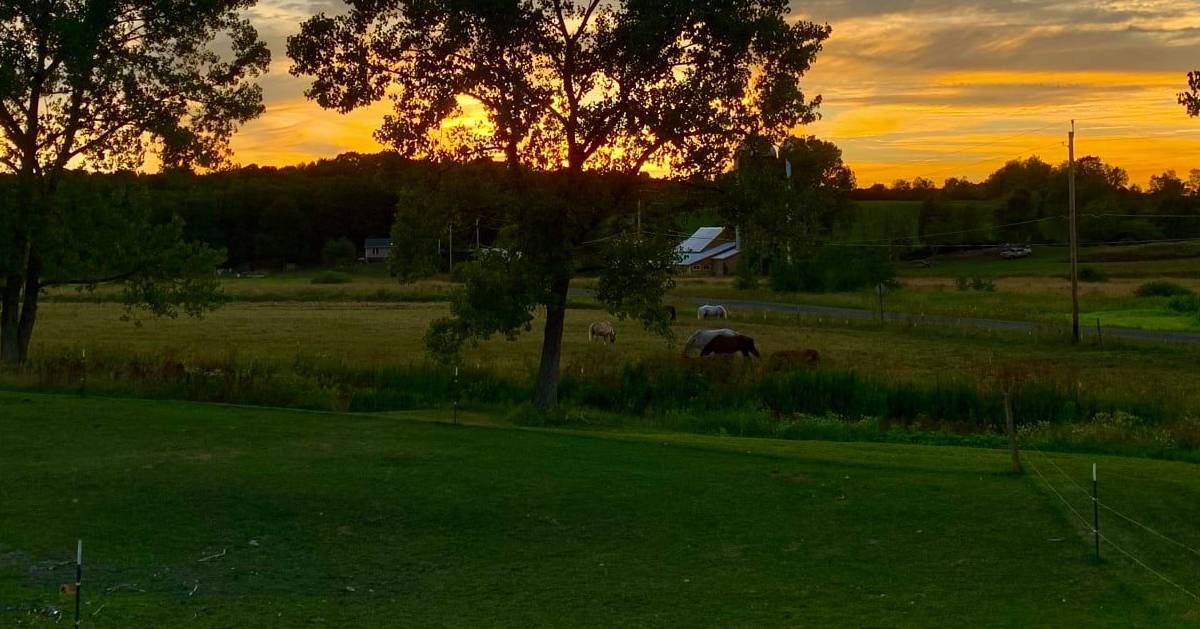 farm site at sunset