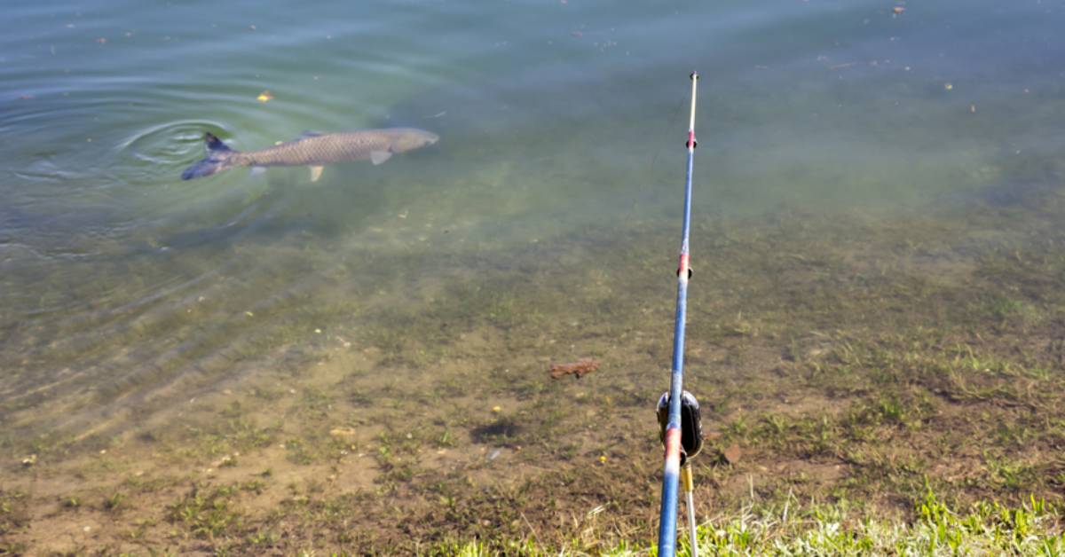 Fishing Seasons in the Adirondacks of New York State