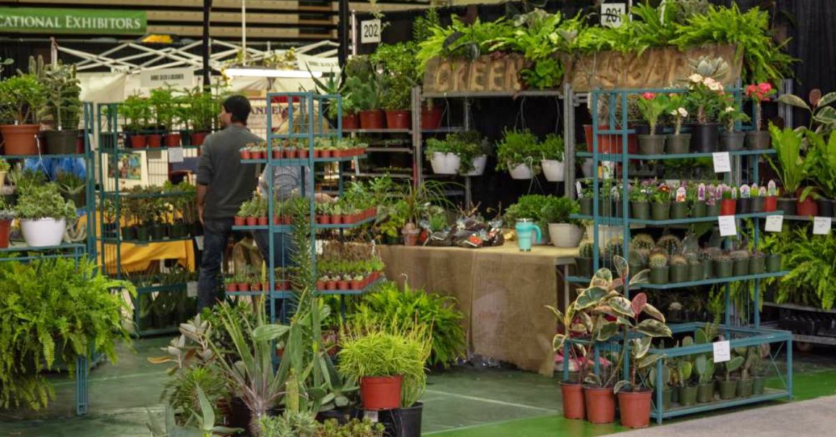 plants on display at a show