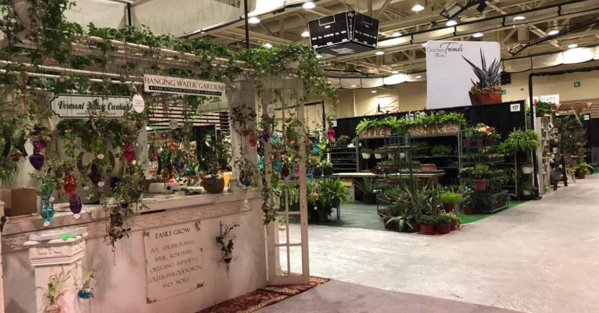 plants on display at a show