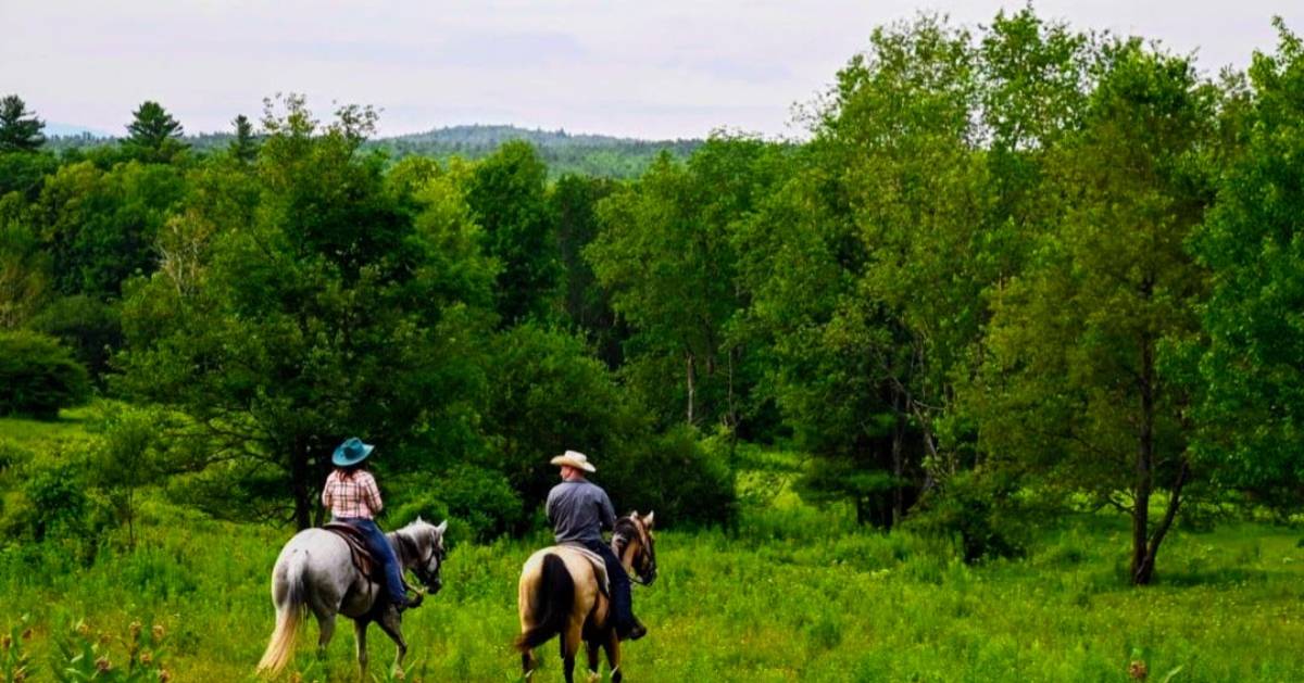 two people riding horses