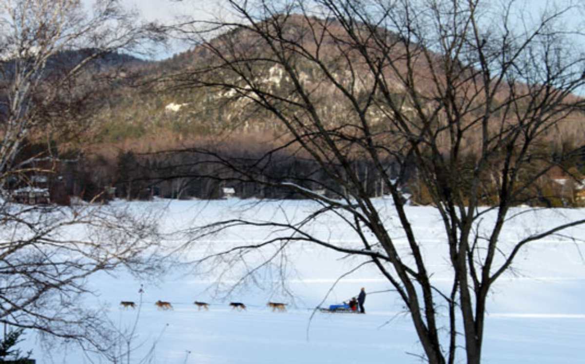 thunder mountain dog sled tours lake placid