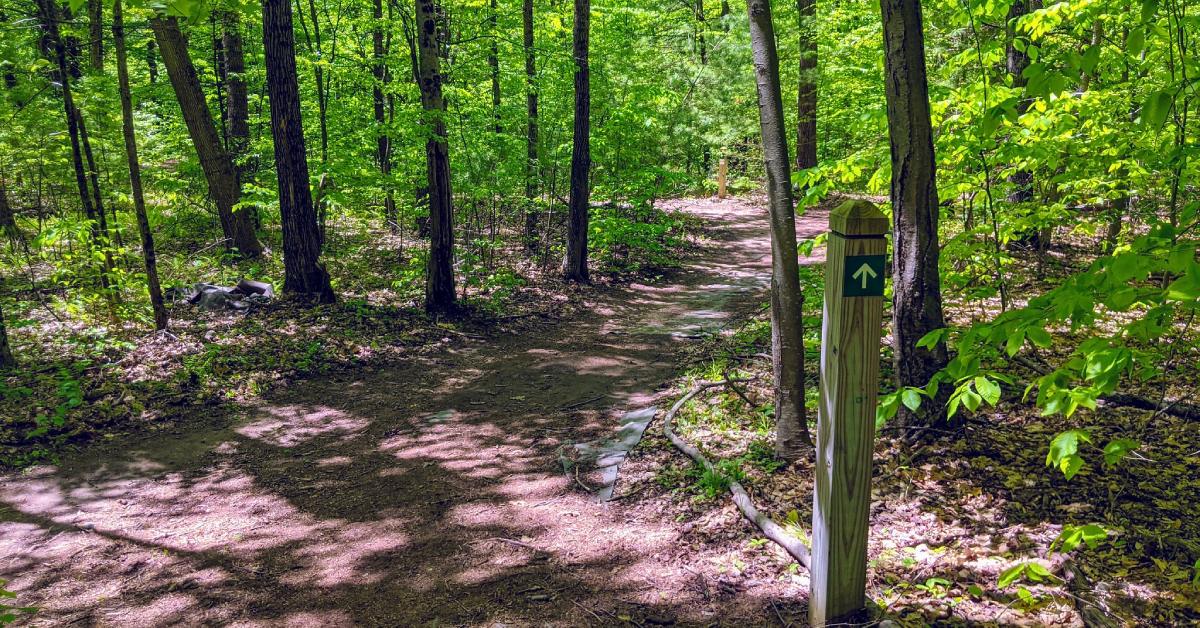 a hiking trail and trail marker