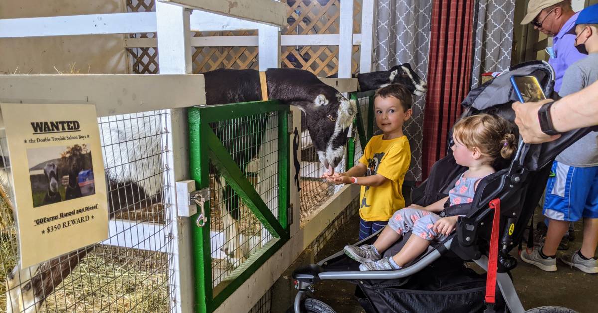 kids visiting with goat at fair