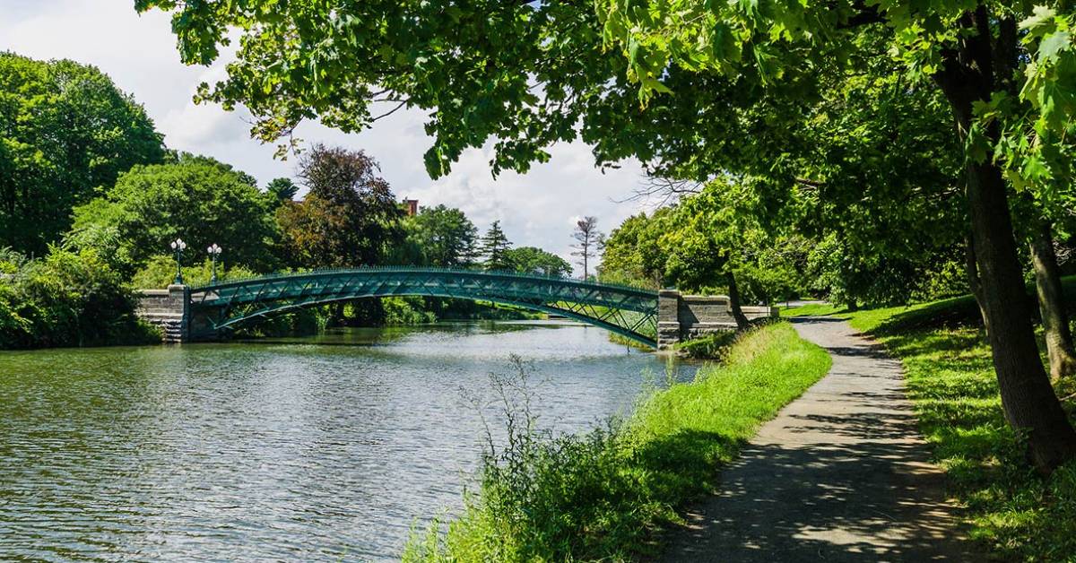 bridge in a scenic park