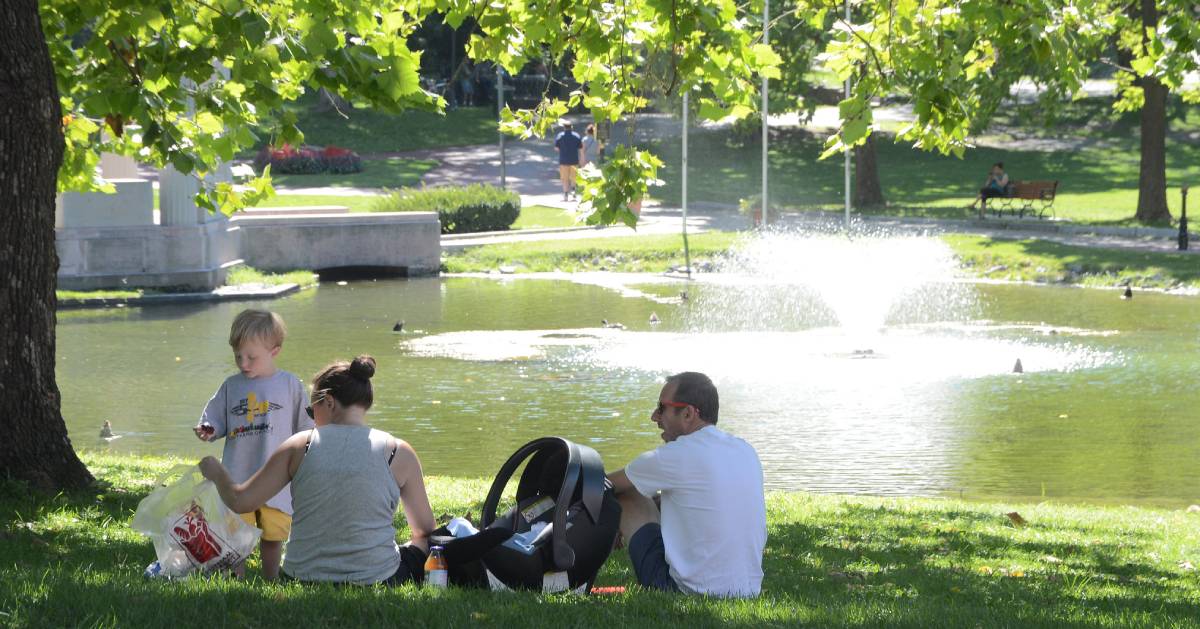 man, woman, and boy by pond