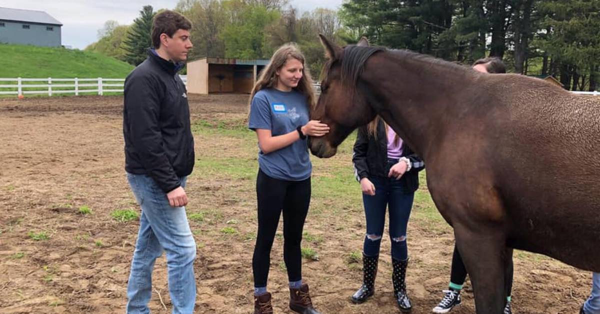 people standing by a brown horse