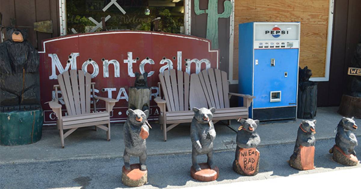 Montcalm sign and bear statues