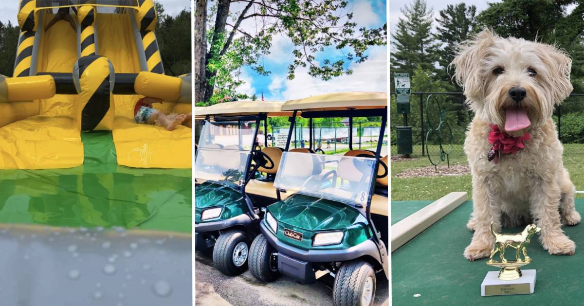 three images with kid going down slip n slide, golf carts, and a dog with a little trophy