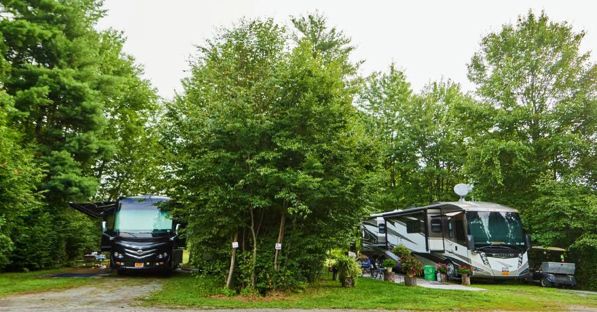 rvs near trees