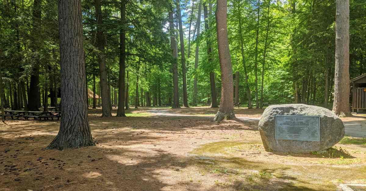 log fort site