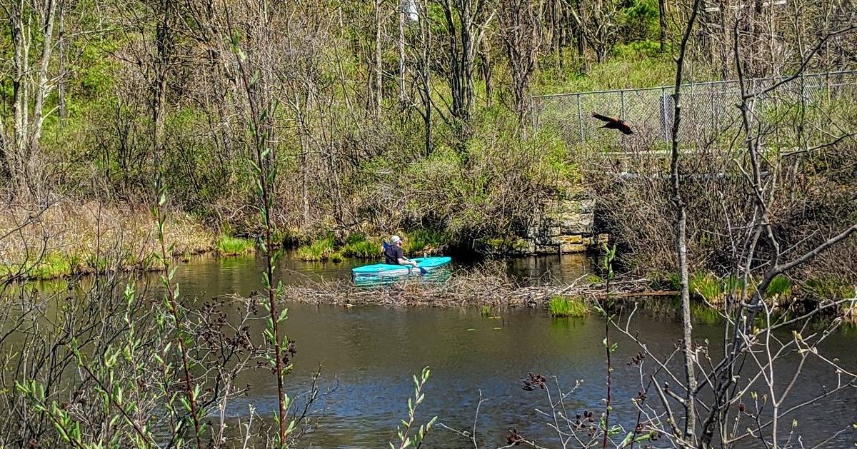 paddler by a large bird