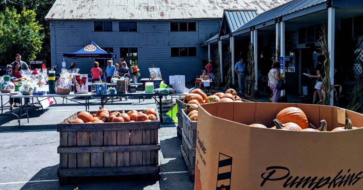 people at an orchard, pumpkins