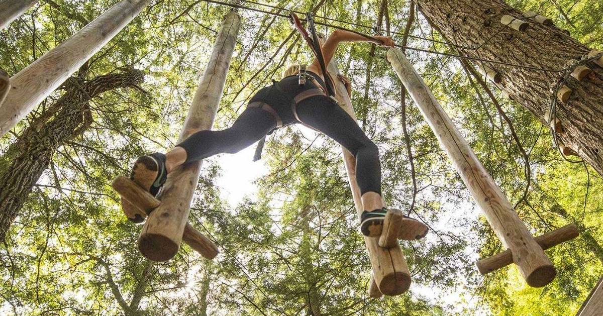 view looking up at a woman on a treetop course