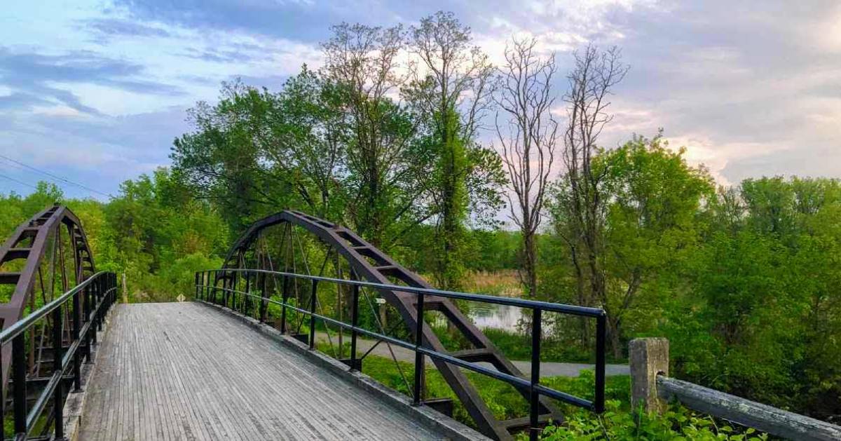 bridge in park